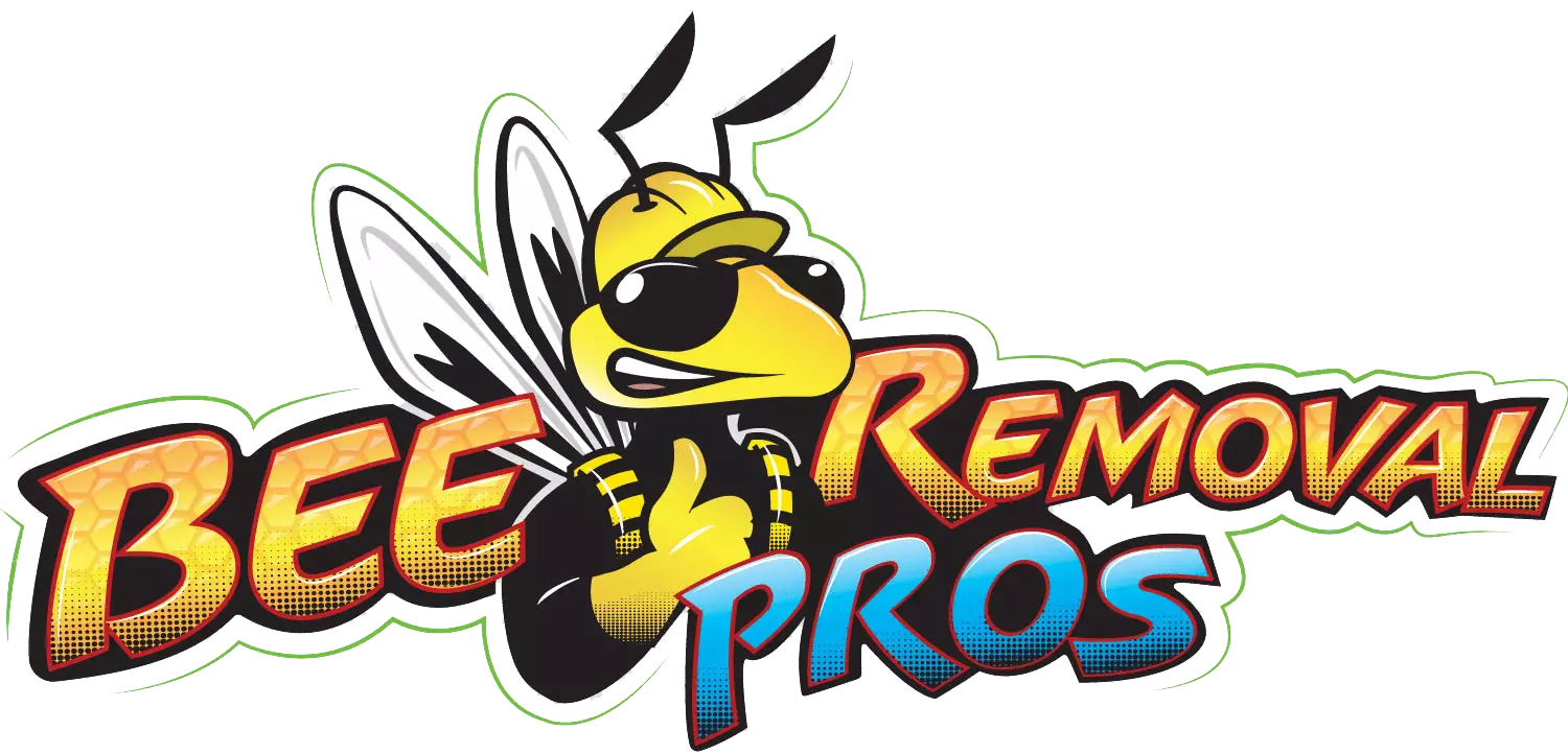 Bee Removal Pros