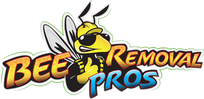 Bee Removal Pros