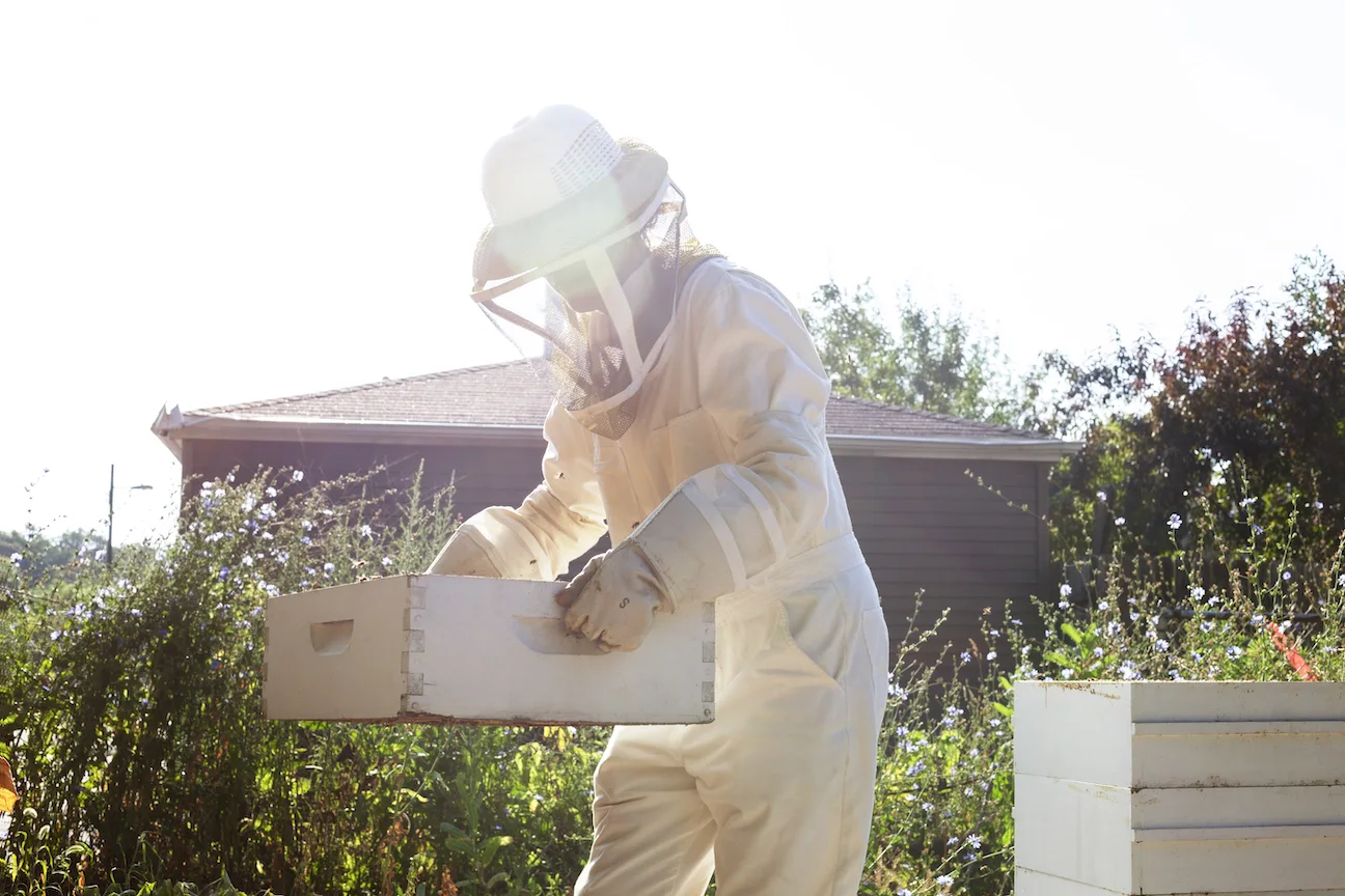 Proper Beehive equipment