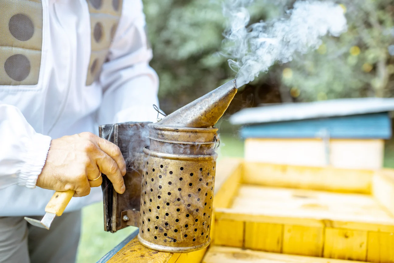 Bee Hive Removal Time