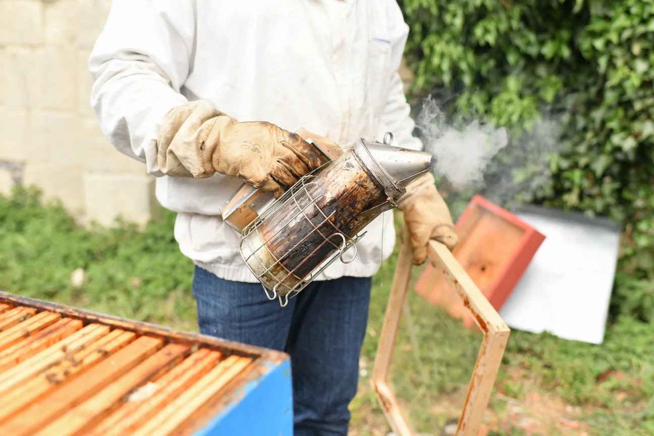 Quick Bee Removal Responses