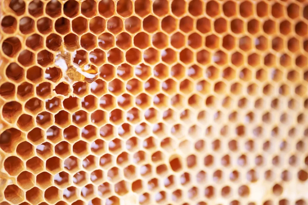 Wax and Honeycomb Removal Services